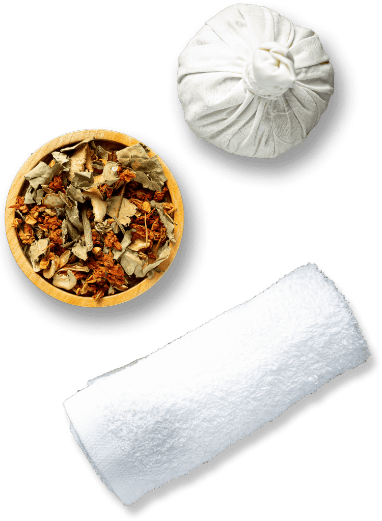 ayurvedic healthcare wellness programs